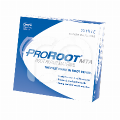 Pro Root MTA