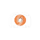 SOF-LEX DISCS  (85)