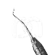 SPATULE DE KHAYAT - CHIRURGIE ENDODONTIQUE