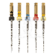 PROTAPER NEXT (6)