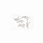 PINCES DE FIXATION CLIP & SPLINT (30)
