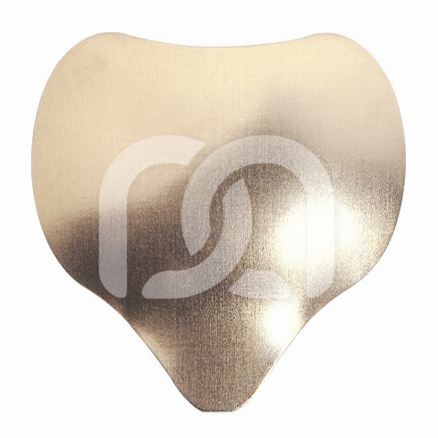 COMPOSI-TIGHT GOLD AVEC EXTENSION - LE LOT DE 50 MATRICES