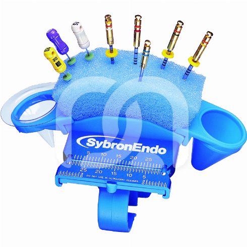 ENDO RING