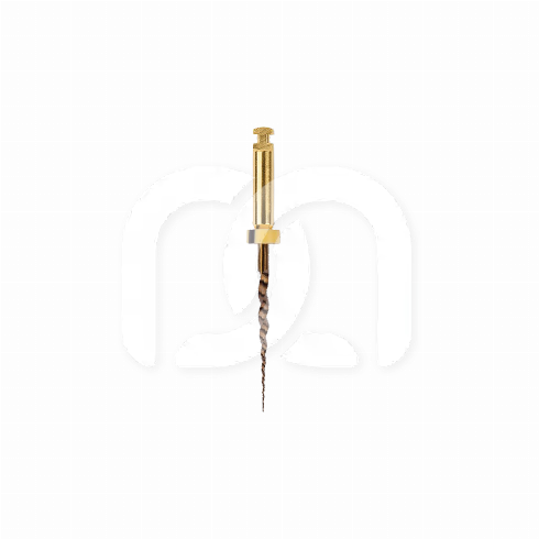 PROTAPER GOLD™ (6)
