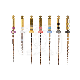 PROTAPER GOLD™ ASSORTIMENT (6)
