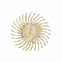 SOF-LEX SPIRALE - PRE-POLIJSTEN (15)