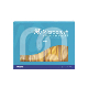 MICROBRUSH PLUS DISPENSER RECHARGES (400)