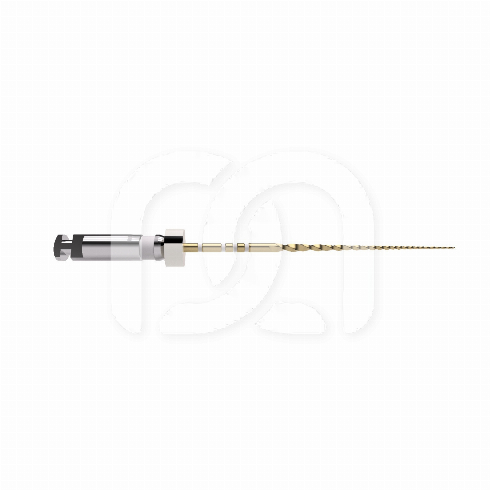 TRUNATOMY GLIDER (6ST)