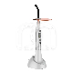 LAMPE LED SUPRALIGHT : COULEUR PRINCIPALE:ARGENT