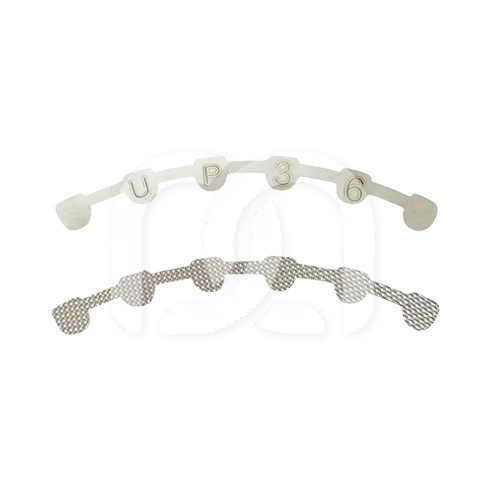CONTENTION LINGUALE A COLLER (36MM) (2)