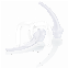 WITTE INTRA-ORALE TIPS (100)