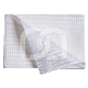 SERVIETTES PLASTIFIÉES DRY-BACK (100)