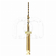 GO-TAPER FLEX STERIEL (6) : LENGTE:25 MM, ISO:ISO 020, CONICITEIT:7%, DRAAIEN:CONTINU, INSTRUMENT:B1