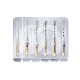 GO-TAPER UNIVERSAL STERILE (6) - ASSORTIMENT : LONGUEUR:21 MM