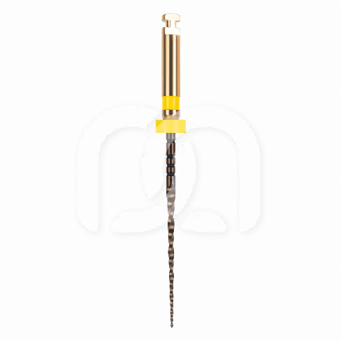 EASY-FILE FLEX STERILE (6)