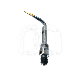 SCALERTIP SCORPION BEM
