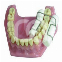 HOLDROLL (4)
