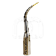 SCALERTIP SCORPION BEM

