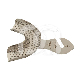 INOX AFDUKLEPELS - GEPERFOREERD - UNIS  : MAAT:T-2, ARCADE:MANDIBULAIRE
