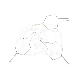 METALEN LIGATUREN (100) : LENGTE:20 MM, INCH-DIAMETER:0,25 MM