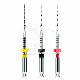 REVERSO SILVER STERILE (6) : LONGUEUR:21 MM, ISO:ISO 025, CONICITÉ:8%, ROTATION:ALTERNÉE, INSTRUMENT:SO25