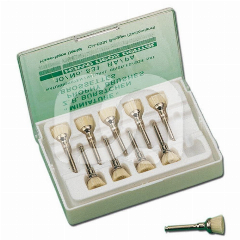 POLIJSTBORSTELS (100)