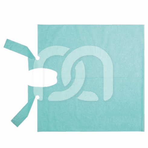 PATIËNTENSCHORTEN VAN GEPLASTIFICEERD PAPIER (80) PATIËNTENSCHORTEN VAN GEPLASTIFICEERD PAPIER (80)