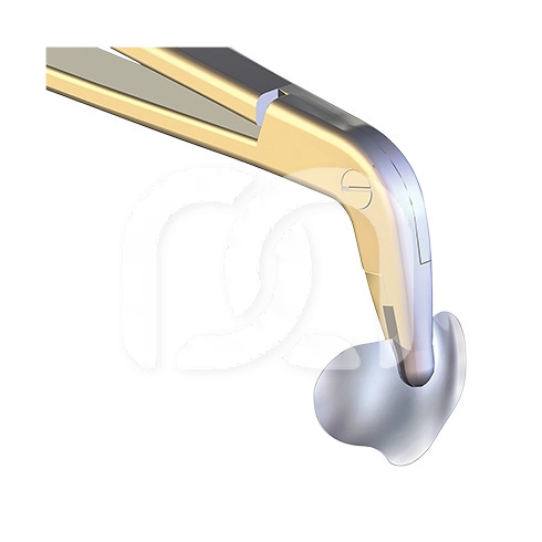 MYQUICKMATRIX FORCEPS MYQUICKMATRIX FORCEPS