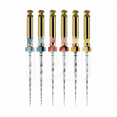 PROTAPER NEXT ASSORTIMENT X1-X3 (6) PROTAPER NEXT ASSORTIMENT X1-X3 (6)