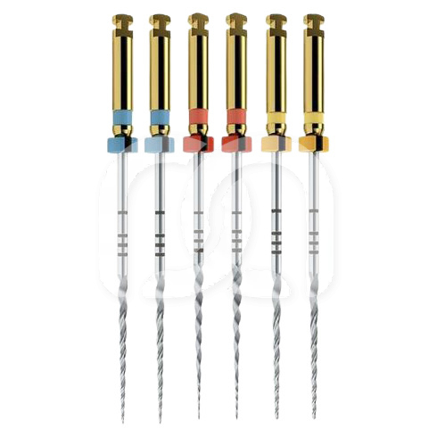 PROTAPER NEXT ASSORTIMENT X1-X3 (6) PROTAPER NEXT ASSORTIMENT X1-X3 (6)