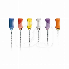 PROTAPER UNIVERSAL - LIMES MANUELLES ASSORTIMENT (6) PROTAPER UNIVERSAL - LIMES MANUELLES ASSORTIMENT (6)