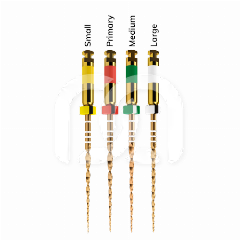 WAVEONE GOLD - ASSORTIMENT  (4)