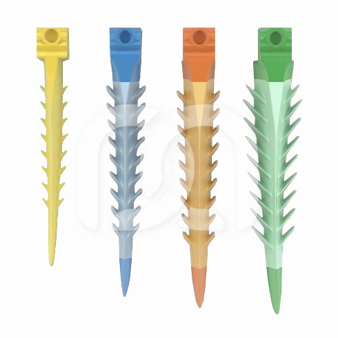 3D FUSION INTERDENTALE WIGGEN (200)