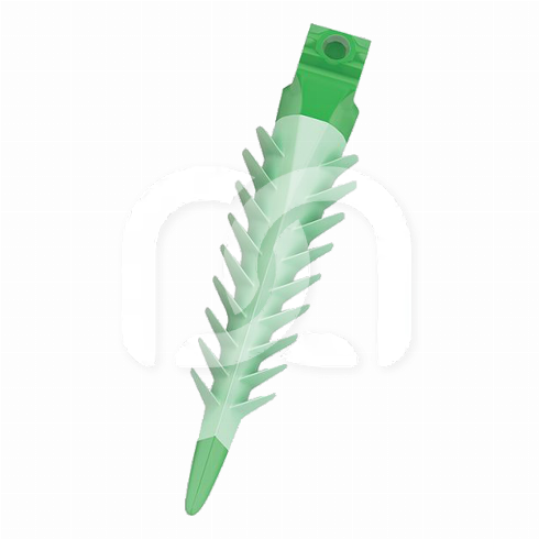 COINS INTERDENTAIRES - 3D FUSION (50)