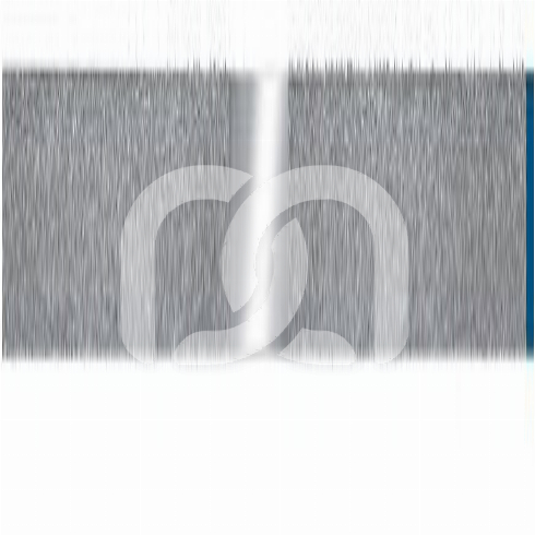 STAAL STRIPS (10) STAAL STRIPS (10)