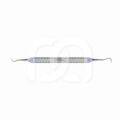 NEVI SCALER EVEREDGE 2.0