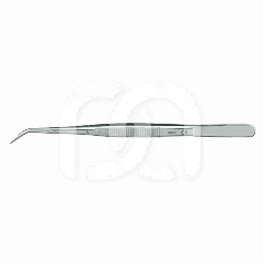 PRÉCELLE LONDON COLLEGE 