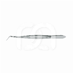 PRÉCELLE MERIAM PRÉCELLE MERIAM