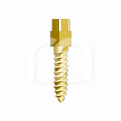 SCHROEFSTIFTEN - VERGULD (12) SCHROEFSTIFTEN - VERGULD (12)