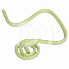 HYGOFORMIC BIO (100) HYGOFORMIC BIO (100)