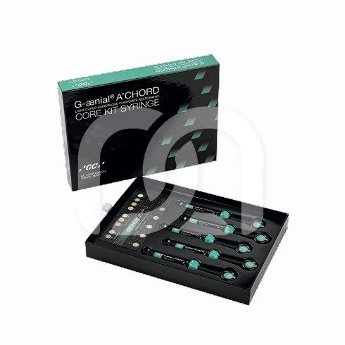 G-AENIAL A'CHORD SPUITEN 4G (5)