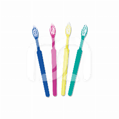 BROSSES À DENTS JETABLES (100)