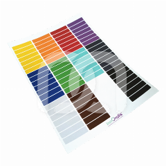 BYCOLORS - RÉASSORT DE GOMMETTES - ROND