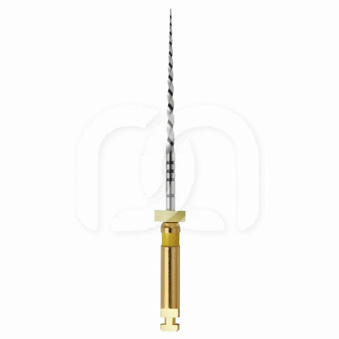 GO-TAPER UNIVERSAL STERILE (6) GO-TAPER UNIVERSAL STERILE (6)