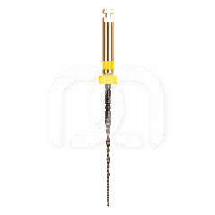 EASY-FILE FLEX STERILE (6) EASY-FILE FLEX STERILE (6)