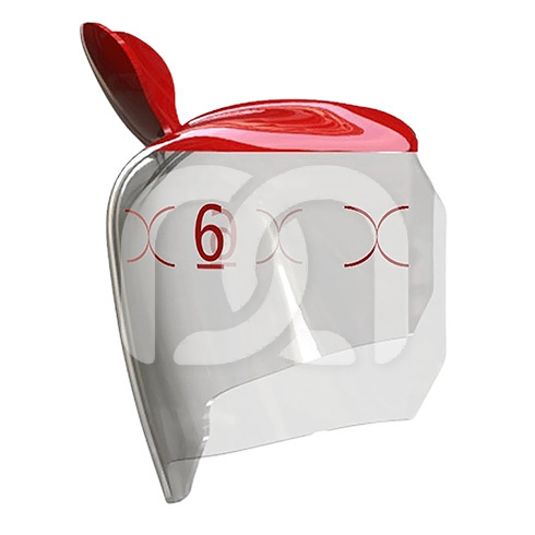 EVOLVE POSTERIOR MATRIX (25) EVOLVE POSTERIOR MATRIX (25)