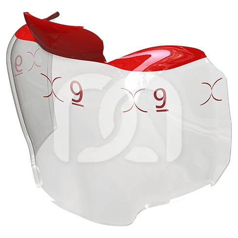 EVOLVE POSTERIOR MATRIX (25) EVOLVE POSTERIOR MATRIX (25)