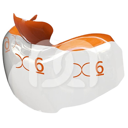 EVOLVE POSTERIOR MATRIX (25) EVOLVE POSTERIOR MATRIX (25)