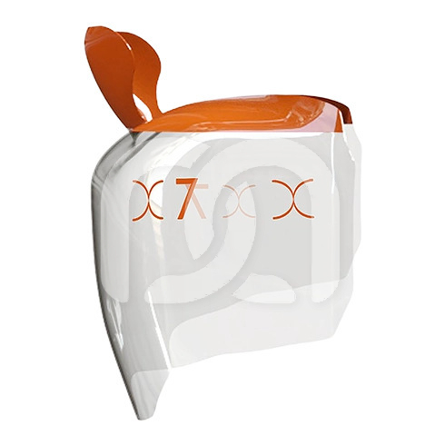 EVOLVE POSTERIOR MATRIX (25) EVOLVE POSTERIOR MATRIX (25)