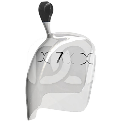 EVOLVE POSTERIOR MATRIX (25) EVOLVE POSTERIOR MATRIX (25)